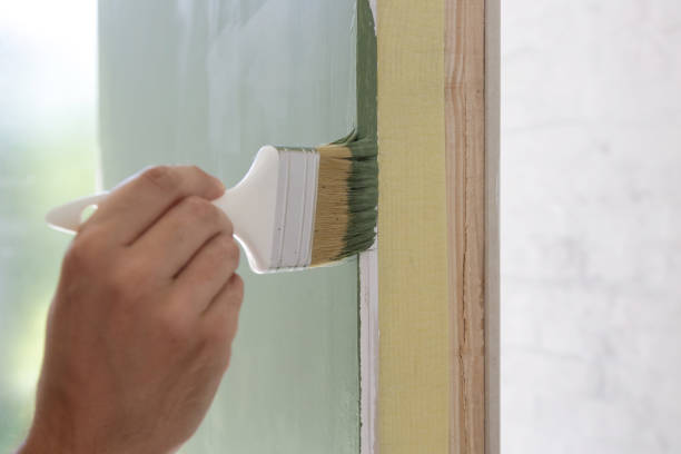 Best Attic Mold Removal  in Plainfield, IL