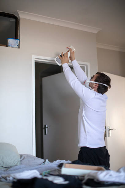 Best Mold Removal for HVAC Installations  in Plainfield, IL