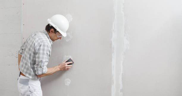 Best Asbestos and Lead Testing During Mold Inspection  in Plainfield, IL