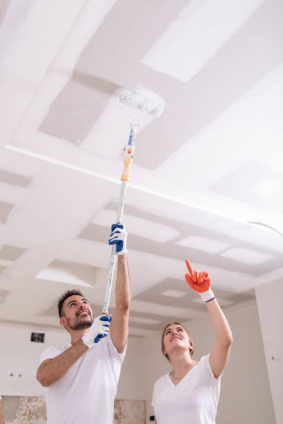 Best Black Mold Removal  in Plainfield, IL
