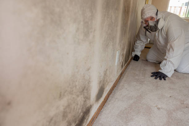 Best Commercial Mold Inspection  in Plainfield, IL