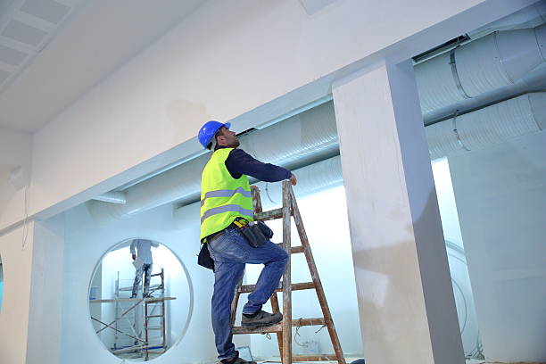 Best Air Quality Testing for Mold Spores  in Plainfield, IL