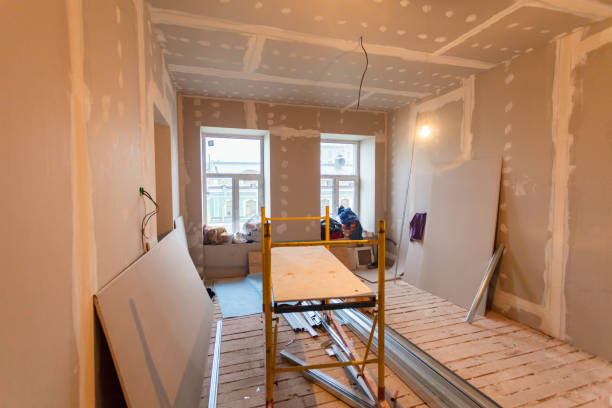 Best Mold Damage Restoration  in Plainfield, IL